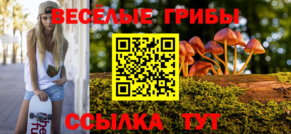 Псилоцибиновые грибы Psilocybine cubensis  Вход с VPN  Ялта 